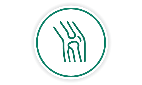 Services-Icons_Ortho_GMH